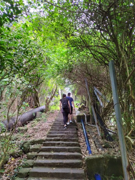 天母水管路步道(天母古道)1099009