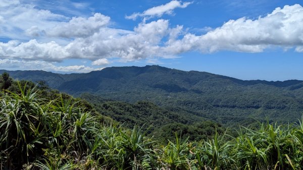 114.06.28內平林山-番子坑山-平湖森林遊樂區之O型2824224