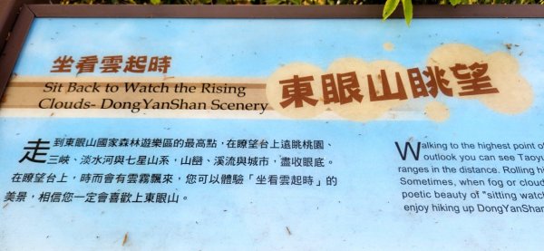 【中級山縱走】志繼山，東眼山，拉卡山，卡外山，東滿步道2742576