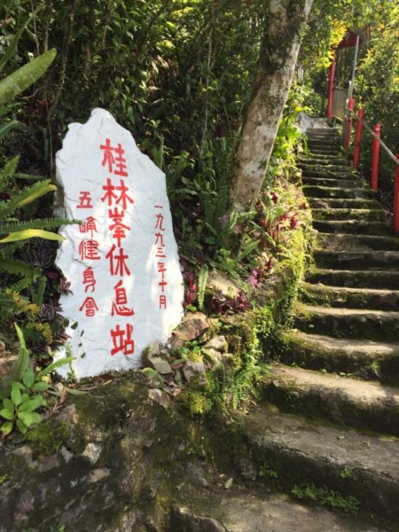 抹茶山&三角崙山566965