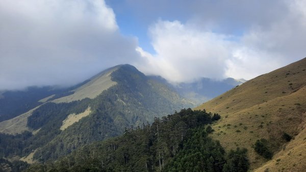 《南投》高山杜鵑盛宴｜哈哈山、石門山北峰202104181353273