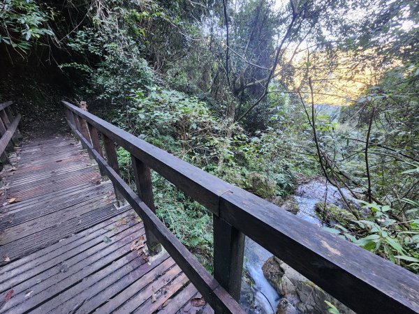 20241124布奴加里山2679104