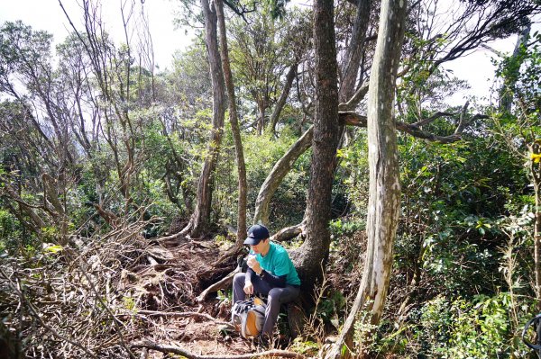 新竹關西鎮 水田林道之貴妃&那結山連走1539705