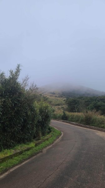 2026-0116 大屯三山_貴子坑_北投2984838