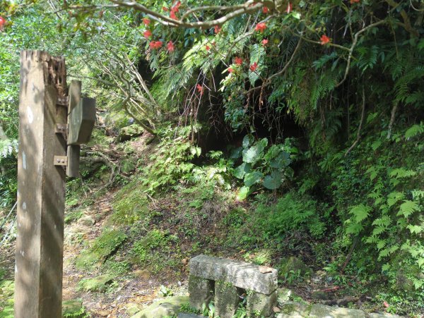 2026.03.14－微笑山線：【五分山系】3015438