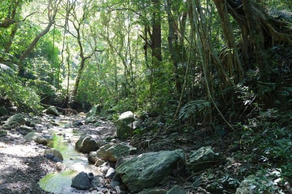 【屏東】牡丹-高士佛山、茄苳神木O形