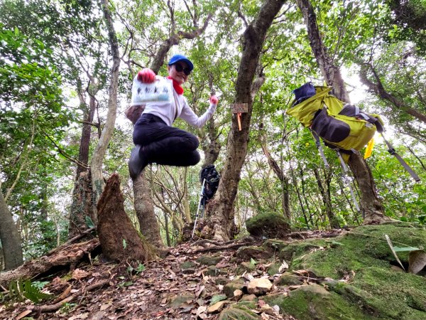 東勢大崙、東勢坑山、觀音湖山O走2986233