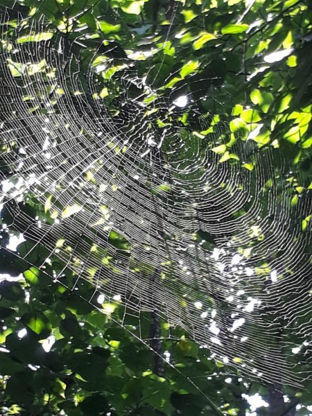 彰化芬園挑水古道碧山古道20190630620219