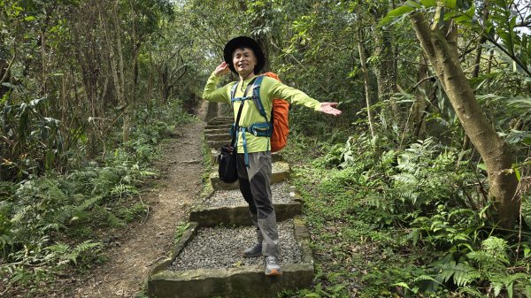 2025貓空杏花林杏花大爆發，粉紅、深紅及白色杏花爭奇鬥艷，從公車站步行20分鐘即抵達2720175