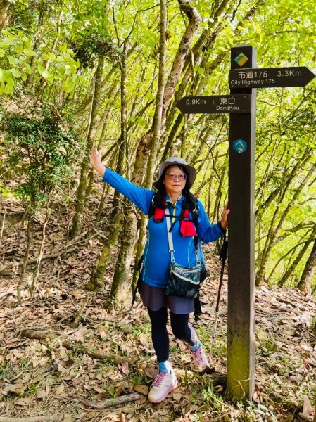 烏山嶺水利古道順走竹高崙山3連峰2669924