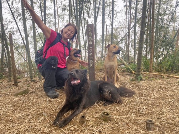 阿拔泉山、觀音石山、紅南坑山、獨立山2650838