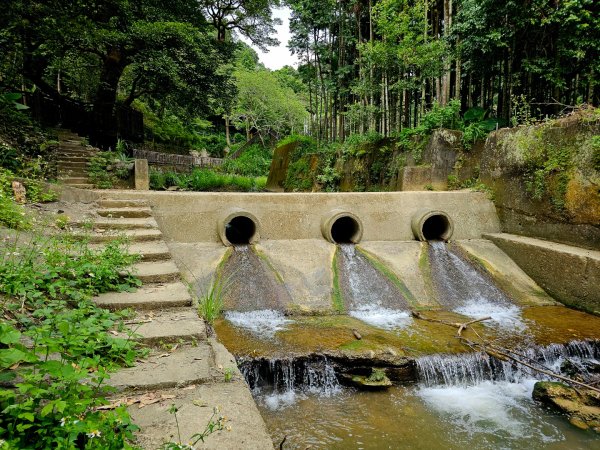 四寮溪生態步道-2025森遊竹縣皮皮獅探險隊2889111