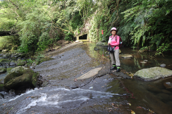 2025-07-16狗殷勤古道連走溪山古圳─狗殷勤古道→登峰圳涵洞→坪頂新圳涵洞→坪頂古圳涵洞→鵝尾山水梯田→大平尾山→溪山百年古圳