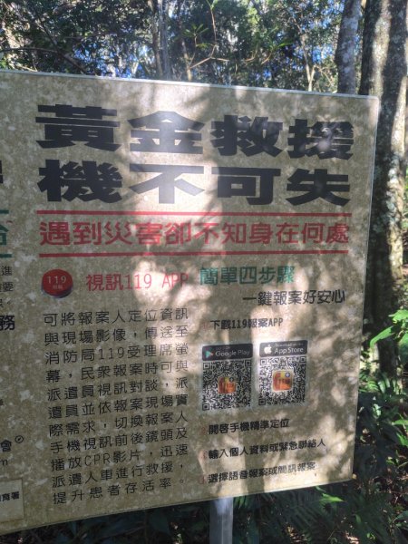 南東眼山連走有勝山2918727