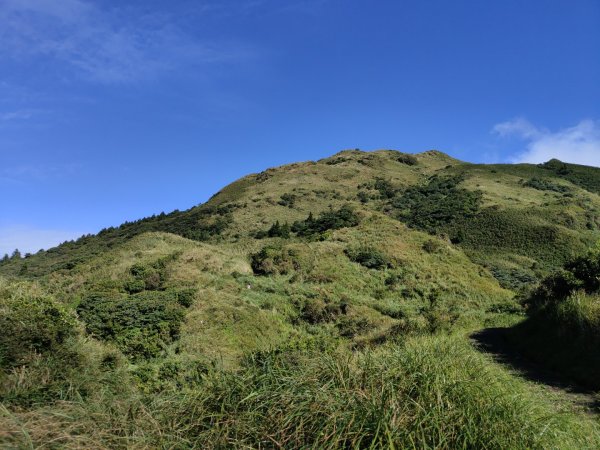 2023.09.09 七星山主、東峰步道2481038