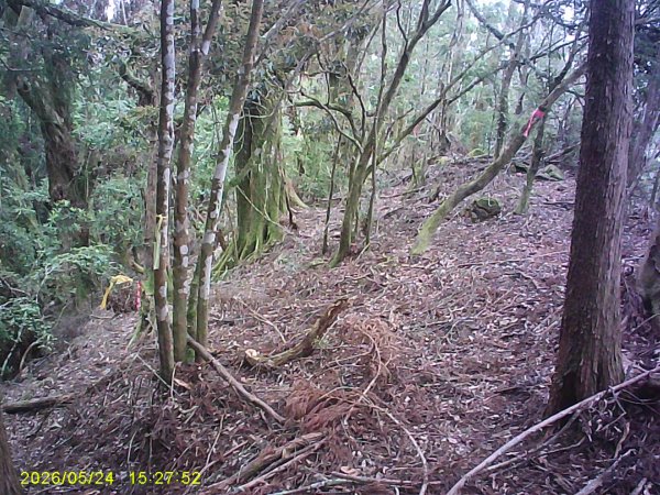 台21號公路的同富(埔沙)山3061852