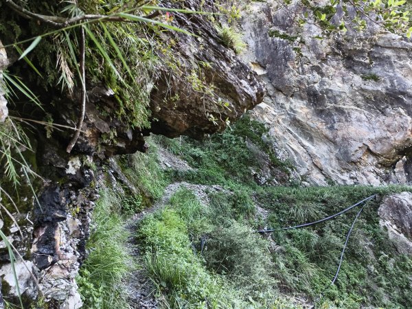 [玉山尋寶任務-07/12] 2025_0824 八通關雲龍瀑布步道2870578