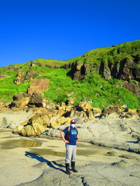 看海最美的神秘步道：到基隆大坪海岸尋找海豹岩2443171