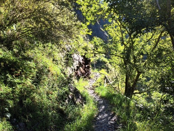 [玉山尋寶任務-07/12] 2025_0824 八通關雲龍瀑布步道2870648