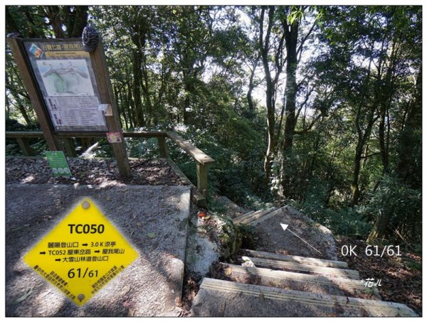 屋我尾山 北登山口 (大雪山林道31.3K)2985516