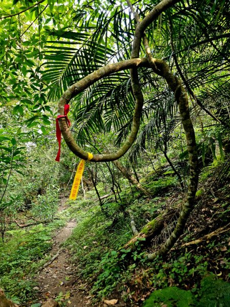 八里灣山-小百岳#91-花蓮縣豐濱鄉3019227