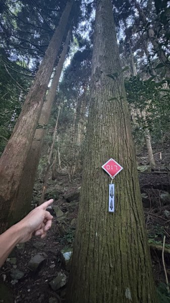 加里山東南峰2867925