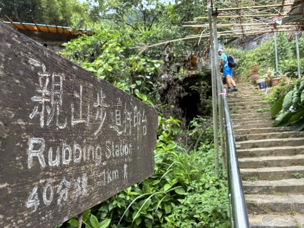 《坪頂古圳步道O形縱走｜大崎頭梯田、竹林秘境，夏日最涼的水圳步道》3086021