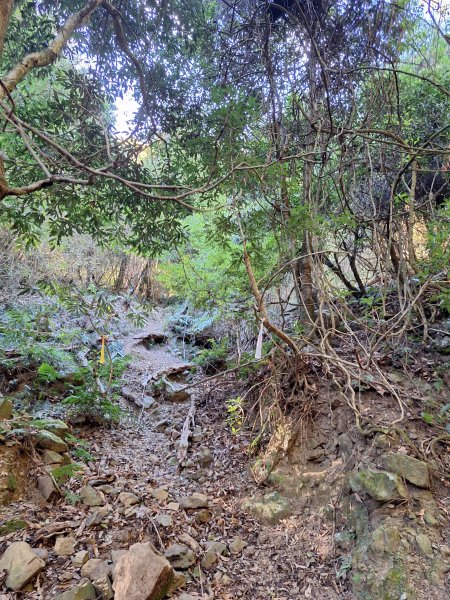 雪見駐在所+雪見山202512252971676