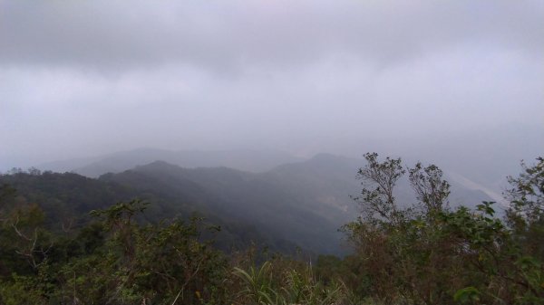 力里圓山森林步道 好熱啊～560564