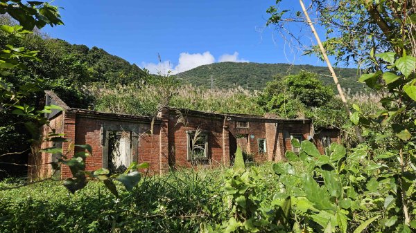 20251217麗水保甲路-麻斯廪水圳步道-大湖古道2964514