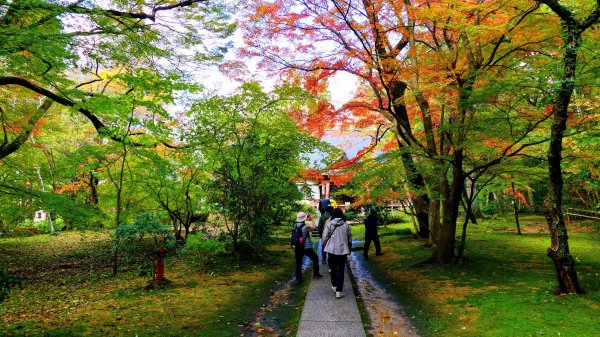 岩手縣中尊寺2930165
