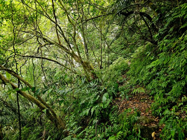 闊瀨古道/三水潭(淡蘭中路)-新北市坪林區2873798