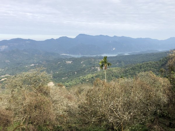 梅嶺伍龍步道走獵鷹尖一線天 難山 竹子尖山 梅峰1571901