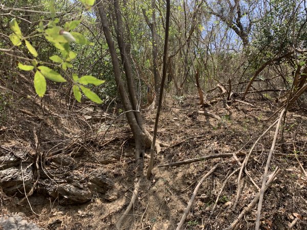 20250503屏東南和山2781481