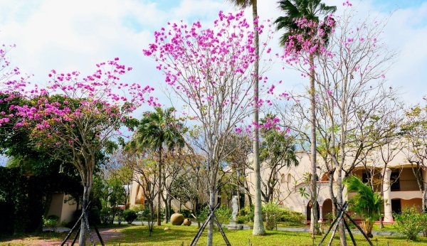 豐之谷,理想大地,林田山,立川漁場3007283