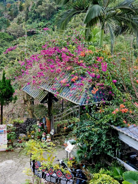 馬胎古道、馬胎二期古道、南坪古道2986016