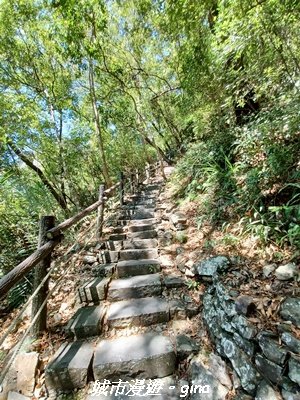 【台中和平】山林靜謐時光。 捎來步道2989209