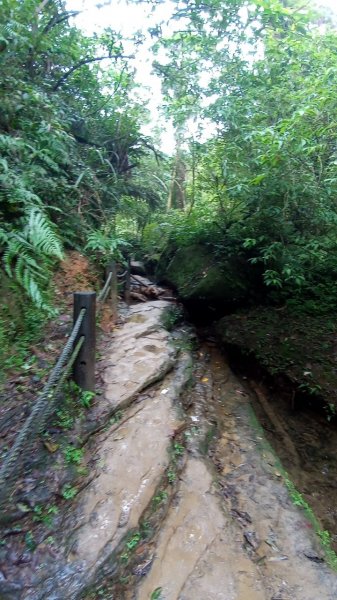 三貂嶺瀑布群峰1934319