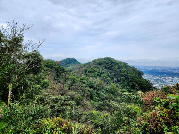 小百岳集起來-鳶山2181119