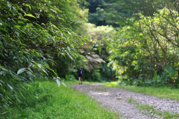 淡蘭古道中路-中坑古道至闊瀨2554137