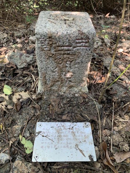 20251122高雄竹山口山2945299