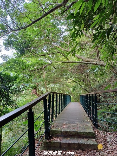 【花蓮秀林】跨距在蜿蜒曲折的立霧溪上。 布洛灣吊橋 (山月吊橋)2238554