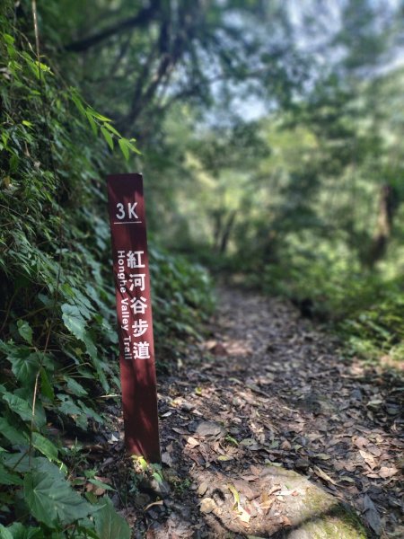 烏來紅河谷越嶺古道…污水處理廠至工寮段2134840