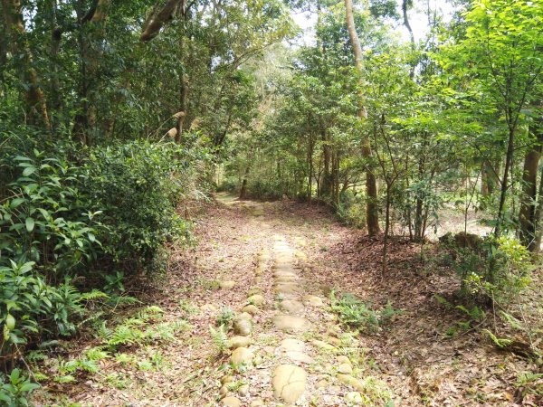 三通嶺古道