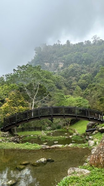 雲嘉連峰/青年嶺/水社寮2750455