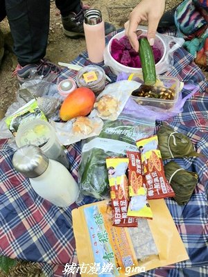 【台中和平】長壽山_肥崠山_山徑3077643