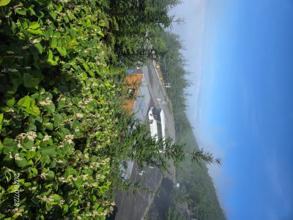 強風大霧的富士山頂3093253