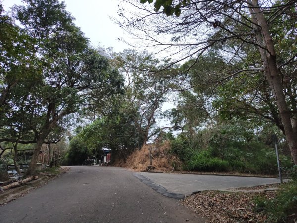 2023.12.23 高雄大崗山2834931