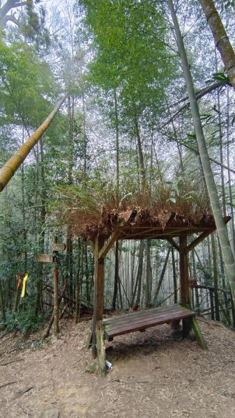 溪頭鳳凰山（米堤飯店香蕉園登山口）2070647