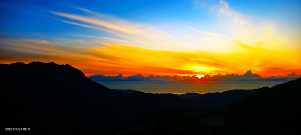 天龍國阿伯的日常-雲山水花鳥蝶 #日出 #牡丹蓮 #香水蓮 #手機拍攝 賞蝶趣 7/42826978